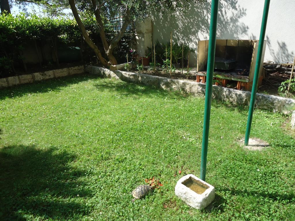 Omis Apartment On The Beach Luaran gambar